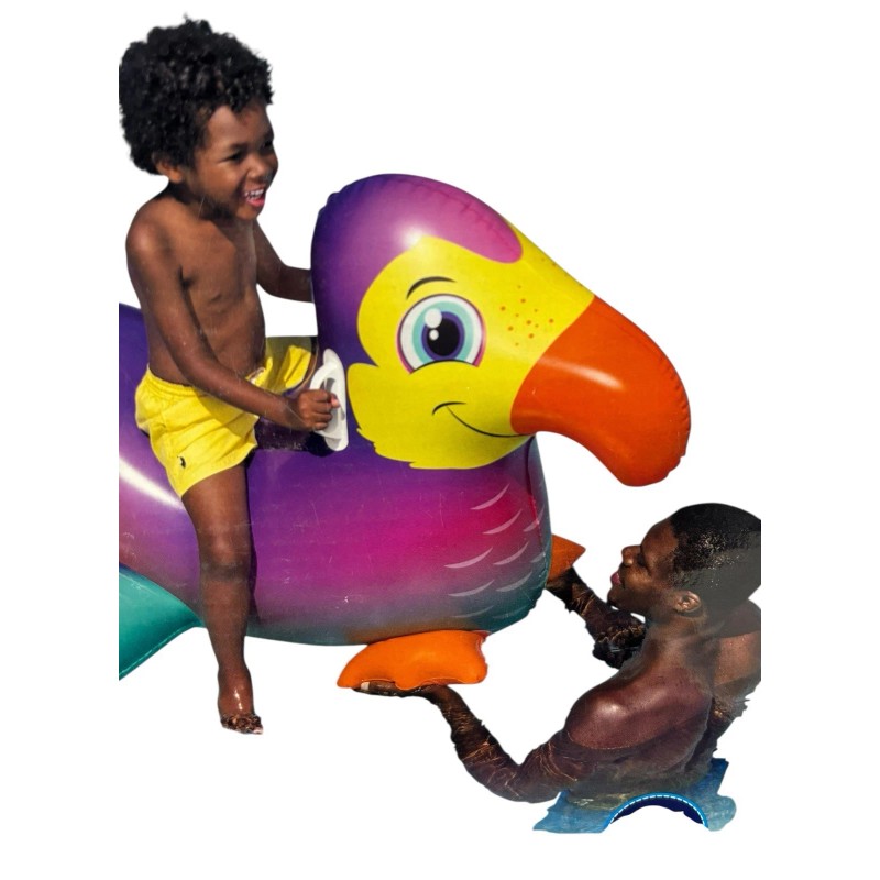 H2O Go Dandy Dodo Ride-On Inflatable Pool Float H2O Go!