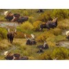 Moose North American Wildlife Collection from Elizabeth's Studio 100% Cotton