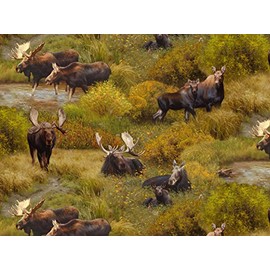 Moose North American Wildlife Collection from Elizabeth's Studio 100% Cotton Quilt Fabric 8801 green