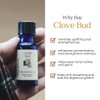 WYNDMERE Naturals Clove Bud Essential Oil, 0.33 FZ