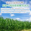 NICHIGA Inulin 17.6 oz (500 g), Plant-derived, Water Soluble Dietary