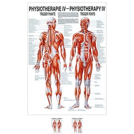 Sport-Tec Trigger Points Mini Poster Anatomy 34 x 24 cm Medical Teaching Aid