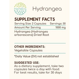 HerbEra Hydrangea 60 Capsules, 500 mg, Hydrangea (Hydrangea arborescens) Dried Root (60 Capsules)
