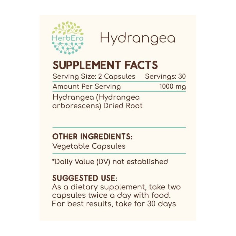 HerbEra Hydrangea 60 Capsules, 500 mg, Hydrangea (Hydrangea arborescens) Dried