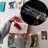 50pcs Clear Small Clips, Transparent Plastic Clear Clips Binder Photo