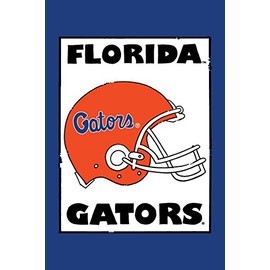 Magnolia Lane Collegiate Garden Flag (Florida Helmet)
