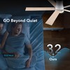 Rayqueen 60 Inch Ceiling Fans with Lights and Remote,Flush Mount