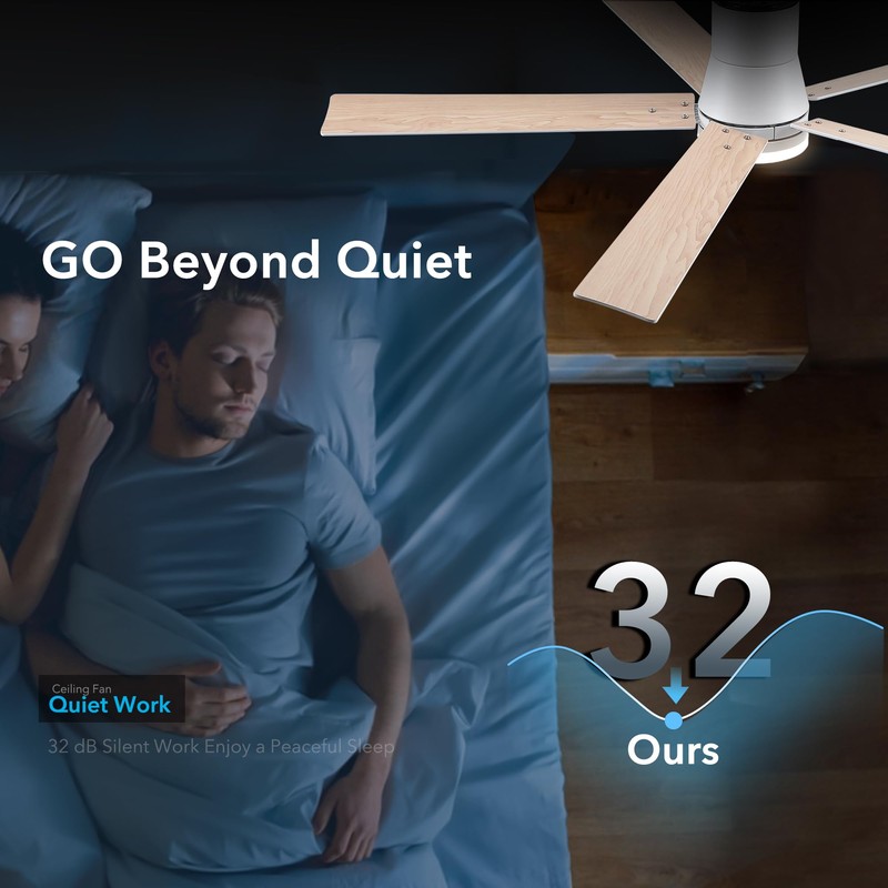 Rayqueen 60 Inch Ceiling Fans with Lights and Remote,Flush Mount