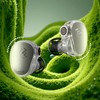 Linsoul 7HZ x HBB Elua High End Customized Dynamic (2DD)