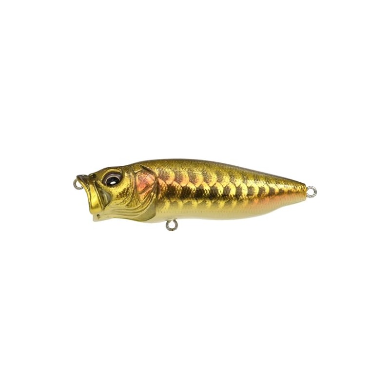 Megabus Bass Lure PopMAX (SP-C) Dragon Fish G