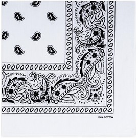 Raylarnia Bandana Multi-Purpose 100% Cotton Headbands for Women, 22 inch Paisley Cowboy Bandanas for Men