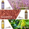 PHATOIL 9PCS Premium Quality Essential Oils Set for Soap Making