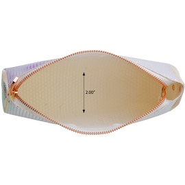 Holographic Makeup Brush and Cosmetic Bag Made of Iridescent Pebbled Vegan Faux Leather with Top Zipper (JB75)