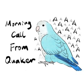 Handmade CAR Sticker Blue Quaker Parrot Monk Parrot Outdoor use/UV & Water Proof