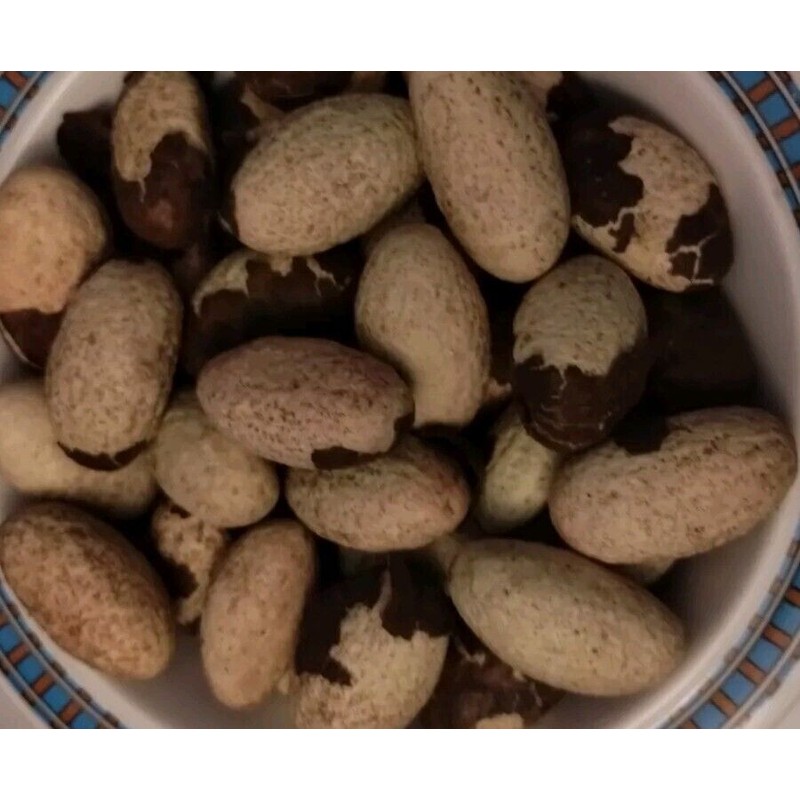 Fresh Peeled Bitter kola nuts, Orogbo kola nuts, Garcinia Kola