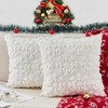 multiwins Christmas Pillow Covers 16" x 16" Set of 2,