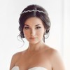 WINOMO Crystal Bridal Flower Leaves Crown Headband Tiara Headpiece, Silver,