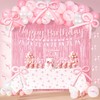 Kriyokiaa pink bow coquette birthday decorations