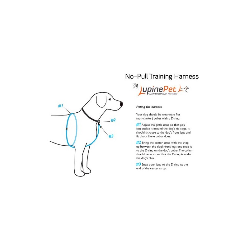 LupinePet Originals 1" Go Go Gecko 26-38" No Pull Harness