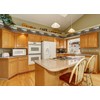 CONCORD WALLCOVERINGS Wallpaper Border Nature Pattern River Trees Birds Mountains,