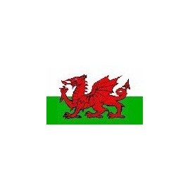 5FT X 3FT YNYS MONS WELSH NATIONAL FLAG