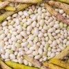 French Haricot Coco Beans 500g