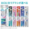 Sistema Brush Compact 4 Row Regular Set of 6 +