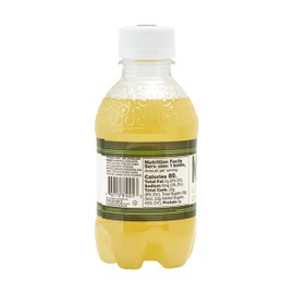 Boylan Bottling MASH Great Tasting Lemon Root Ginger Peel – Lightly Carbonated Fruit Drink - Low Calorie & No Sugar - 16 Fl Oz, 12 Count