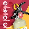 Ougist ABC Dry Powder Fire Extinguisher, 2.5 lb – 1-A:10-B:C