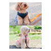 PetGround Dog Leash Cute, Soft Lead, Soft, Stylish, Lightweight, Reflective