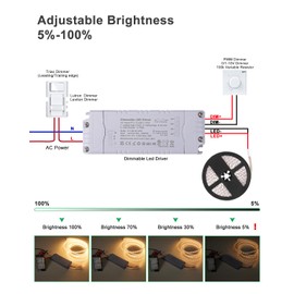 REYLAX Dimmable LED Driver 12V 40W Compatible With Lutron Leviton Dimmer Triac & 0-10V &1-10V & PWM & 100k Resistor, AC 100-130V to DC 12V Constant Voltage LED Transformer for 12 Volt LED Strip Lights