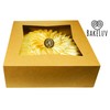 BAKELUV Pie Boxes for 9 Inch Pie | Brown, 25