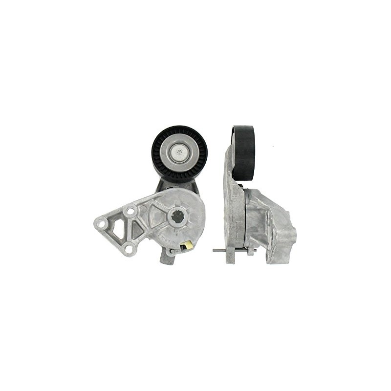 SKF VKM 31019 Multi-V tensioner kit