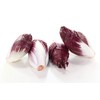 Endive, Red Treviso - Lettuce Seeds (Chicory) - Heirloom