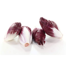 Endive, Red Treviso - Lettuce Seeds (Chicory) - Heirloom