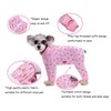 Small Dog Clothes,Elastic Pet Onesie Protect Joints Anti-hair Anti Licking