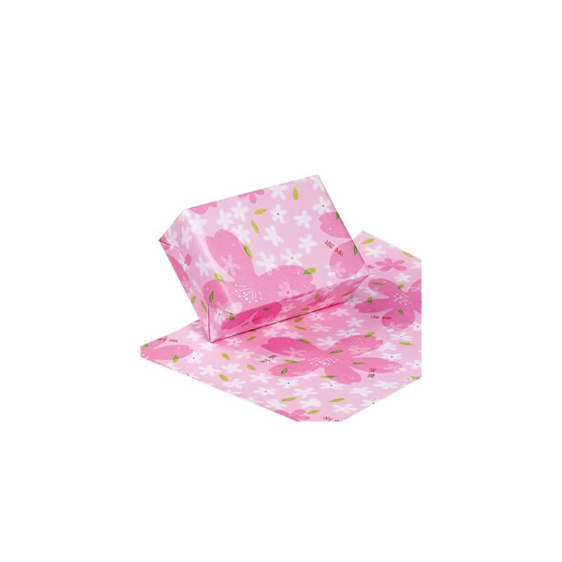 Mother's Day 2023 New Tea Gift Shizuoka Tea (Deep Steamed