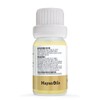 MAYAN OILS Aceite Esencial de Oregano Mexicano 100% Puro 100%