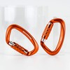 Carabiner 12KN Auto-lock BRAVESHINE Load Capacity 1,200 kg Locking Carabiner