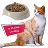 Cat Centre Jumbo Large Corner Open Litter Tray Box Bundle