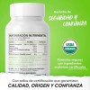 Matcha Organic Side Organic Matcha Caps 60 Capsulas