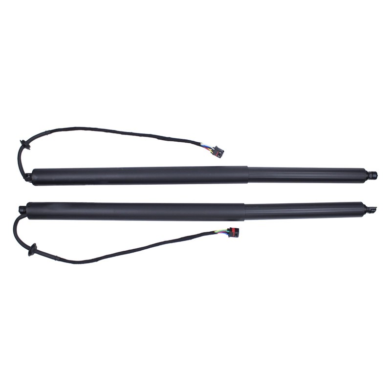 Roneeson 2Pcs Rear Left and Right Tailgate Lift Support for