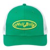 HillBilly Snapback Hat, Green/White