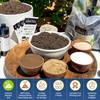 California Super Soil Premium 100% Organic Super Soil - 18+