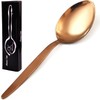 BNAZIND Kunz Rose Gold Spoon | Titanium Shiny18/10 Stainless Steel