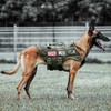 PETAC GEAR Tactical Dog Harness No Pull for Large Working
