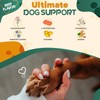 FURRY FUELS Calming Chews for Dogs - Dog Calming Chews,