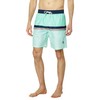 U.S. POLO ASSN. Stripe Swim Shorts Fresh Mint LG