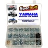 250pc Specbolt Yamaha Blaster Bolt Kit for Maintenance & Restoration