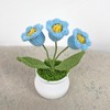 Joekaran Crochet Flowers Cute Little Potted Flower, Gift for Birthday,